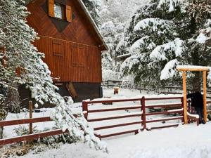 Chalet & jardin au coeur des montagnes alpines v zimě