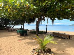 a beach with tables and chairs under a tree at Lokobe eco lodge in Nosy Be