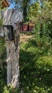 Zahrada ubytování Traumwohnung mit eigenem Garten + 50 fotografií