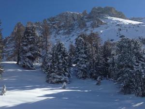 Alps Residence v zime
