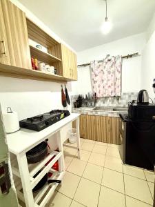 a kitchen with a sink and a stove in it at Koshy Cosy Homes in Narok +20 photos