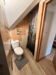 a bathroom with a toilet in a room at Waszka in Białowieża +14 photos
