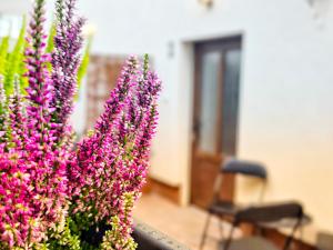 a group of purple flowers in front of a house at Apartmán Lotta in Kežmarok