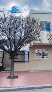 ein Baum auf einem Bürgersteig vor einem Gebäude in der Unterkunft Casa Huerquen in Neuquén
