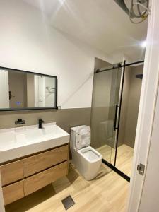 a bathroom with a toilet and a sink and a shower at 19&G Apt in Addis Ababa +19 photos