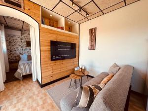 a living room with a couch and a flat screen tv at Agrotur Fenix in Telde