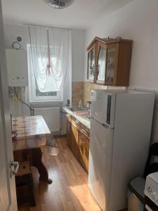 Kuchyň nebo kuchyňský kout v ubytování Apartament Dana