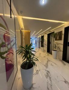 Fotografie z fotogalerie ubytování Beautiful modern T3 apartment Gambetta district v destinaci Oran