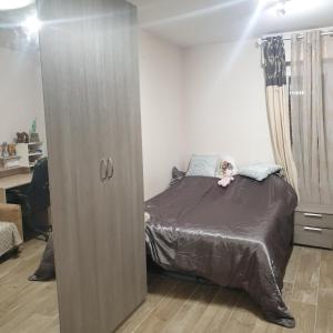 a bedroom with a large cabinet next to a bed at CHAMBRE CHEZ L HABITANT AVEC SDB ET WC sans cuisine in Nice