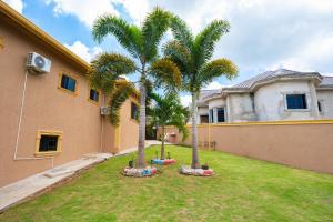 two palm trees in a yard in front of a house at Tiny home- likle but wi tallawah in Mandeville