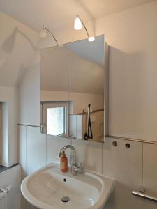 Haus 2 Etagen Garten 1 Badezimmer,1 Gäste Wc 200 Qm 5 Betten Gehoben mit Garten في كرويتستال: حمام مزود بحوض ومِرآة