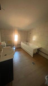 a bathroom with a bath tub and a sink at Valiug Crivaia in Văliug +2 photos