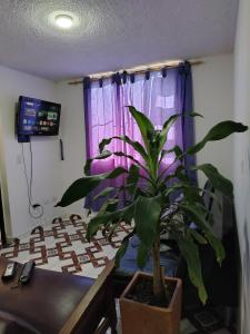 TV a/nebo společenská místnost v ubytování Casa Portal + 8 fotografií