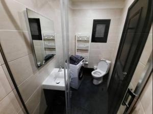 a bathroom with a toilet and a sink and a mirror at Morny Belvédère in Deauville +5 photos