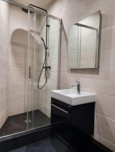 a bathroom with a sink and a shower at Morny Belvédère in Deauville