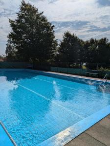 a large blue swimming pool with trees in the background at Ferienwohnung Seeling Weserbergland in Ottenstein