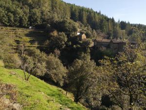 a village on a hill with trees and a house at Le Lauzas in Pénens +14 photos