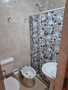 ein Badezimmer mit einem WC-Waschbecken und einem Duschvorhang in der Unterkunft Reconquista Temporarios in Reconquista