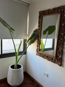 Fotografie z fotogalerie ubytování Sentite en Casa v destinaci Cordoba + 5 fotografií