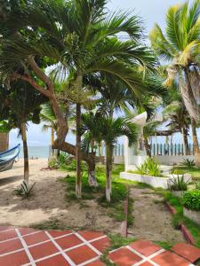 a group of palm trees on a beach with the ocean at Las Margaritas Frente al Mar 1 in Coveñas