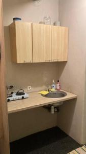a kitchen counter with a sink and wooden cabinets at Āgenskalns 2 in Riga