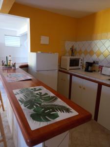 a kitchen with a counter top with a microwave at Gîte des voyageurs in Vieux-Habitants
