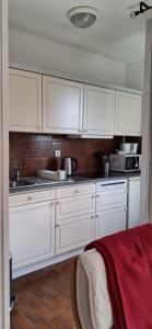 Kuchyň nebo kuchyňský kout v ubytování Rosso hyper centre