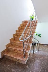 Galeriebild der Unterkunft Apartments Domalu in Zadar