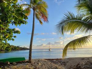 Naturlandskabet i nærheden af villaen