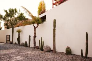 Fotografie z fotogalerie ubytování Casa Coral v destinaci La Paz