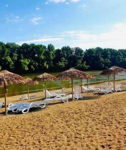 a row of chairs and straw umbrellas on a beach at Kincsem Vendégház in Tiszakécske