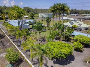 Κήπος έξω από το Tropical Retreat GuestHouse