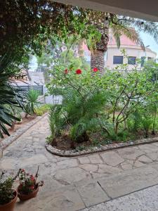 a garden with red flowers and plants on a sidewalk at Casa Franch in Hospitalet de l'Infant +27 photos