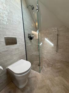 ein Badezimmer mit Toilette und Glasdusche in der Unterkunft The Brent Cross Penthouse in London + 4 Fotos