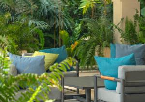 un patio con sillas, mesa y plantas en El Pueblo Mérida, en Mérida