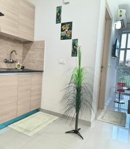 Un baño con una planta en medio de una cocina. en Mero vrindavan home stay, en Vrindāvan