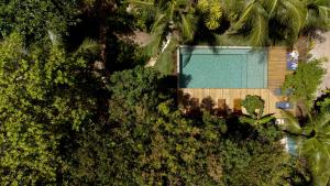 巴拉格兰德Aqualtune Pousada的森林中游泳池的顶部景色