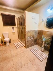 a bathroom with a shower and a toilet at Kingston Oasis One Bedroom in Kingston