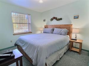 een slaapkamer met een groot bed en een raam bij 2 Bed Cabin Fireplace Lodgepole Pines in Leadville