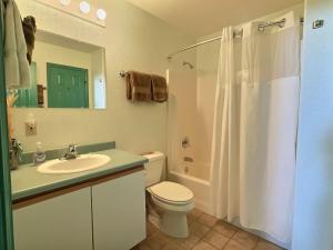 een badkamer met een toilet, een wastafel en een douche bij 2 Bed Cabin Fireplace Lodgepole Pines in Leadville +9 foto's