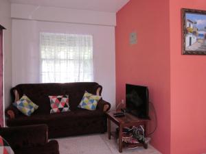 a living room with a couch and a tv at Buttercup Cottage Apartments in Arnos Vale
