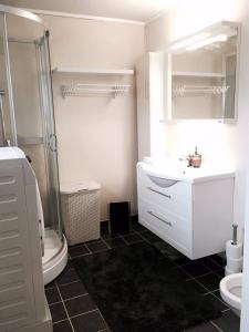 a bathroom with a sink and a shower and a toilet at Holiday Home Lofoten in Lyngværet