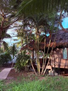 Κήπος έξω από το Authentic Thai Wooden House Coconut Lane