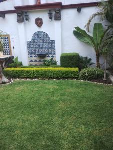 a garden with a bench in the side of a house at La casa del Jardín in Mexico City