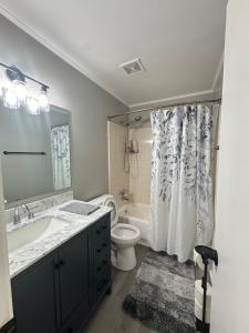 a bathroom with a sink and a toilet and a tub at 3 bedroom Town home in Charlotte