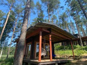 a tree house in the woods with a swing at Jazinks Sunset 4 in Apšenieki +10 photos