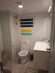 a bathroom with a toilet and a sink at Luna Park no 4 in Grand Baie +9 photos