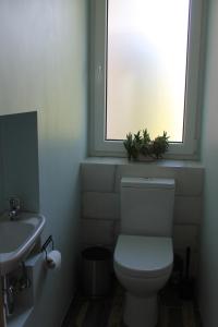 Vonios kambarys apgyvendinimo įstaigoje Apartamentai Tarp trijų ežerų