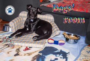 Ospiti di Trilly Bed & Breakfast con animali domestici