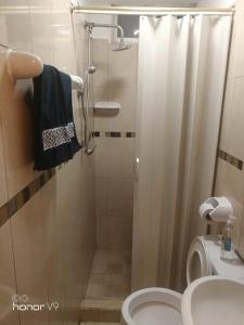 a bathroom with a shower with a toilet and a sink at El departamento de Lucho en El Valle in Loja